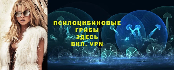 2c-b Александровское