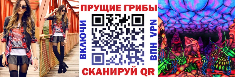 даркнет телеграм как найти наркотики ОМГ ОМГ вход Богородицк Галлюциногенные грибы прущие грибы