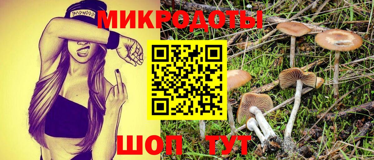 Псилоцибиновые грибы MAGIC MUSHROOMS  Вход с VPN  Богородицк 