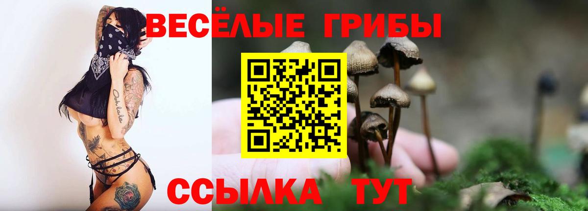 Псилоцибиновые грибы MAGIC MUSHROOMS Богородицк